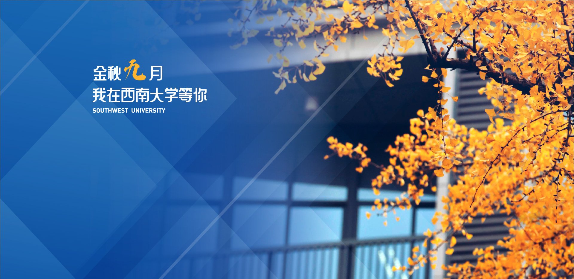 西大主页 本科生院 皇冠城娱乐网访问